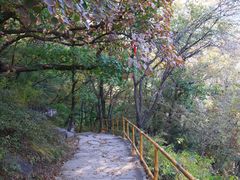 -北京上方山国家森林公园