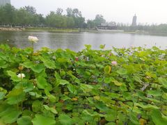 -西海子公园