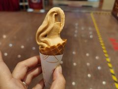 姜醋雪糕-国家五钻酒家·西樵旺阁渔村(西樵店)
