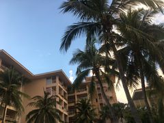 -三亚亚龙湾金棕榈度假酒店