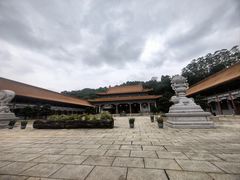 -南宁良凤江国家森林公园