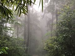 -缙云山景区
