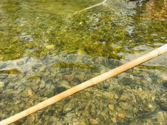 -九曲溪竹筏码头