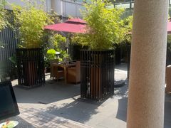 -青藤茶馆(凤起路店)