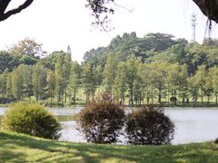 -东莞植物园
