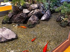 -森味薪火烧•烧鸟居酒屋•日本料理(望京店)