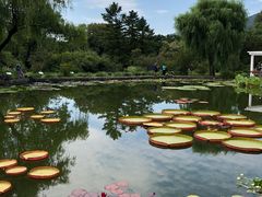 -国家植物园南园