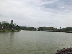 -枫香湖儿童公园