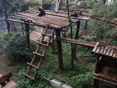-昆明动物园