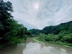 -南宁良凤江国家森林公园