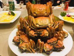 -王宝和酒家(黄浦店)
