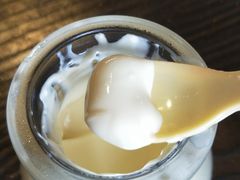 -狐狸家·酸奶酪专门店(平江路店)