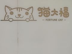 -猫大福·Fortune Cat猫舍(百子湾店)