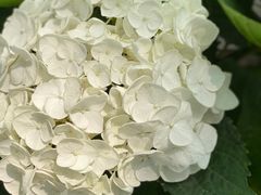 -共青国家森林公园-售票处
