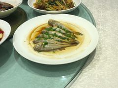 -渔人码头(中南店)