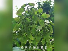 -颐和园