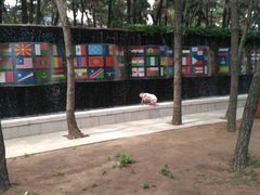 -林海公园