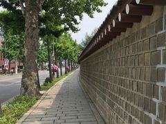 -新世界百货(明洞总店)