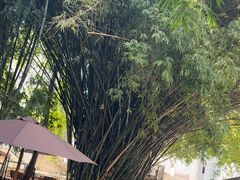 -陶享时光西餐·下午茶·竹林花园(新城店)
