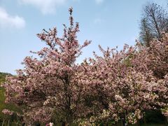 -贵阳市花溪国家城市湿地公园