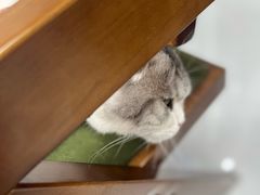 -seeu coffee(江滩店)