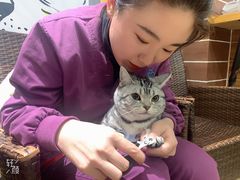 -美联众合宠物医院·爱萌分院·内外科·猫科中心
