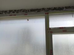 -今朝装饰(十里河总店)