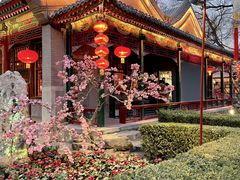-白家大院·王府宫廷菜(苏州街店)