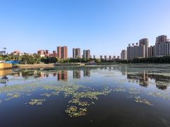 -仙女湖公园