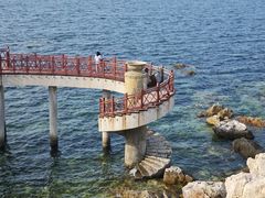 -养马岛旅游度假区