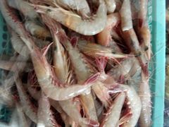 -品雅轩农家乐