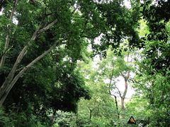 -三门江国家森林公园