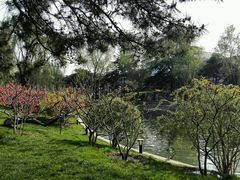 android_upload_pic-钓鱼台国宾馆