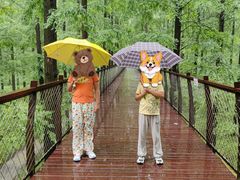 -黄海国家森林公园