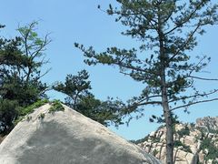 -崂山仰口游览区