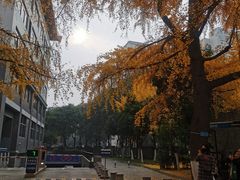 -四川大学(华西校区)