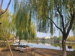 -西海子公园