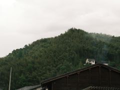 -MOJ coffee(瓯海泽雅水碓坑店)