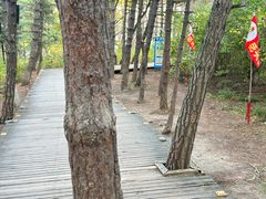 -帽儿山国家森林公园