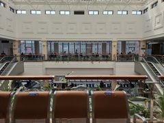 -上海市东方医院(总院)