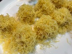-丁老爷子苏香圆
