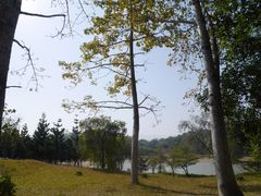 -福建鲤鱼洲酒店