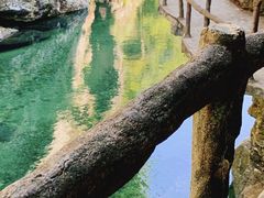-石台牯牛降景区