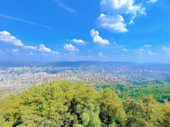 -缙云山景区