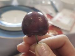 -宏宴·新京菜(望京店)