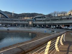 -东方早茶 海鲜•青岛菜(国信体育中心店)