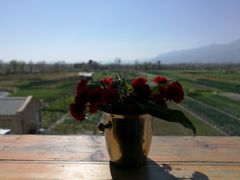 -翠田Green Field Kitchen