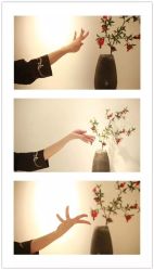 -柏姿舞蹈工作室