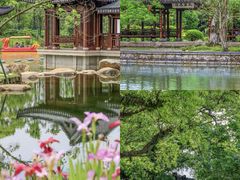 -江心屿景区