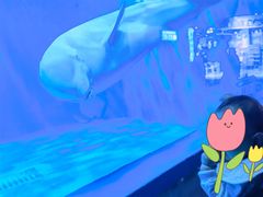 -多彩贵州城极地海洋世界